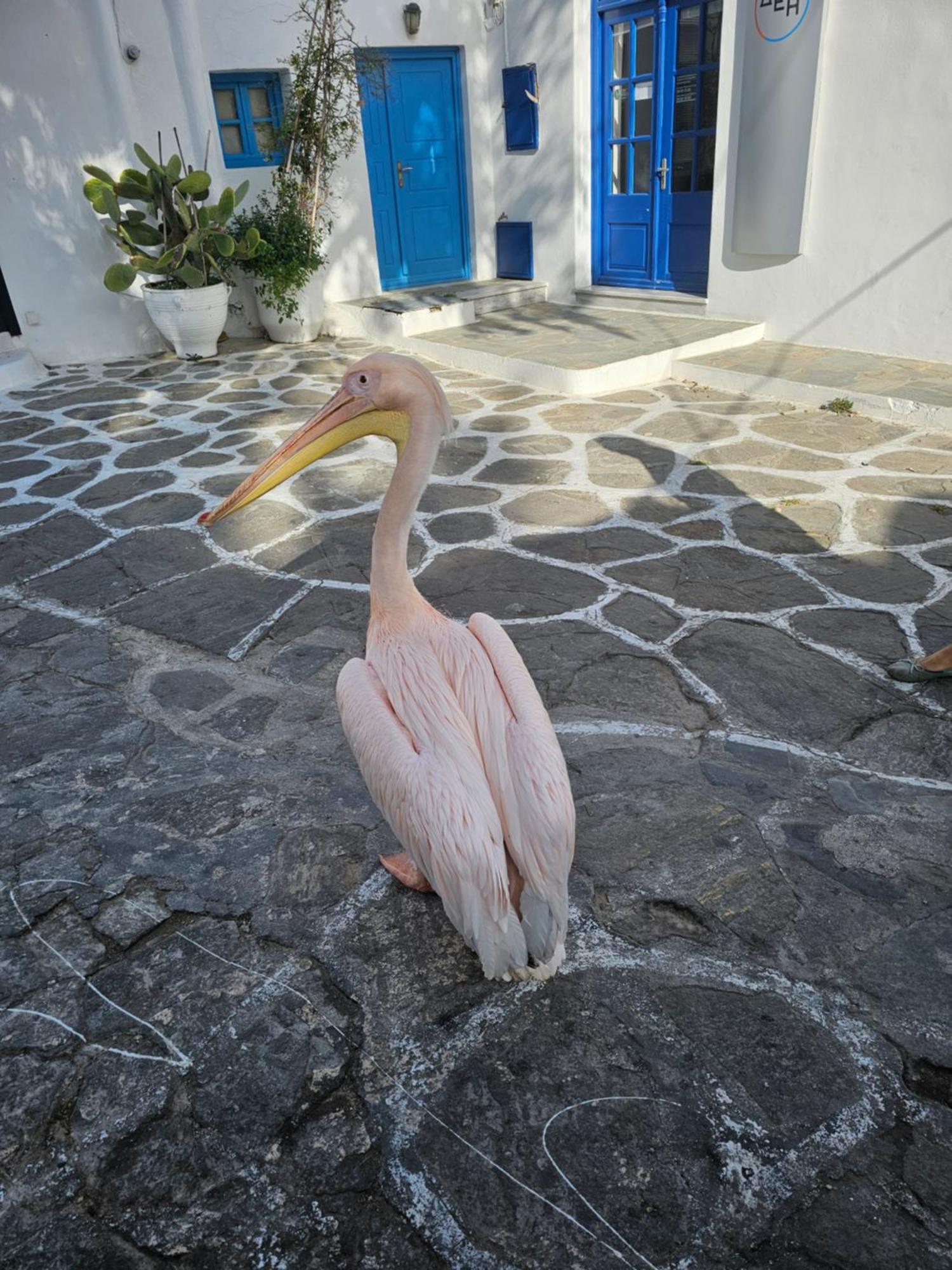 Solo Apartamento Mykonos Town Exterior foto